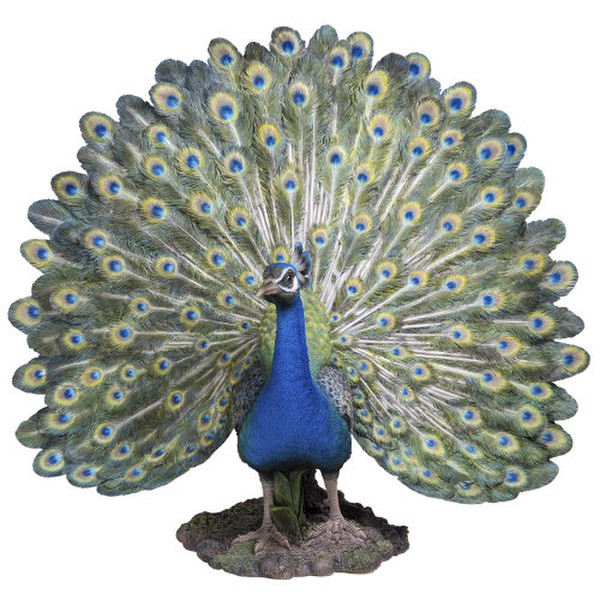 Peacock Sculpture Large Plume of Feathers European Decor Garden